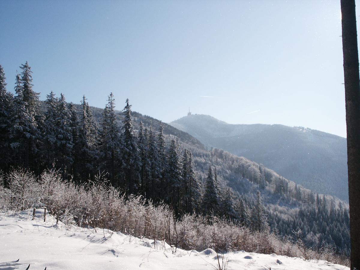 PICT0875.JPG