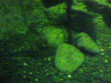 Obraz015.jpg