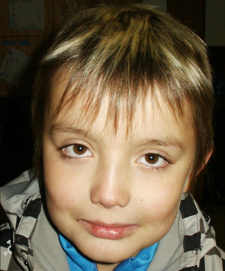 dandis