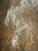 PICT0617.JPG